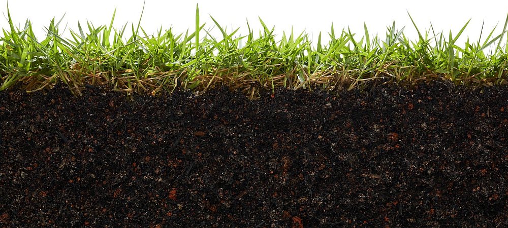 Lawn Fertilization::SML Five-Step Fertilizer Program * includes free soil analysis... Read More Seth Maurer Landscaping Lawn Fertilization cropped