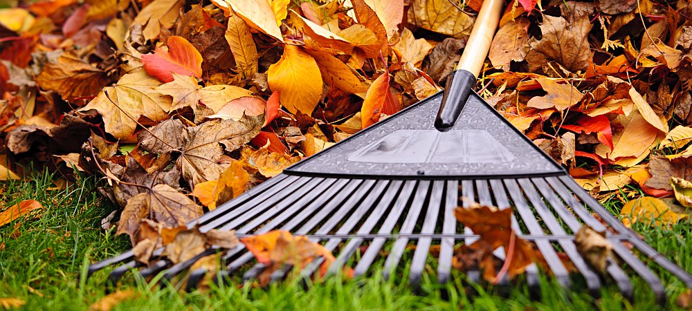 Spring/Fall Cleanup::Revitalize and Refresh for the Spring and Summer, Get Ready for Winter in the Fall... Read More Seth Maurer Landscaping Spring Fall Cleanup Cropped